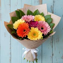 Букет цветов из:  Герберы #REPLACE_PRED# Шатурторф