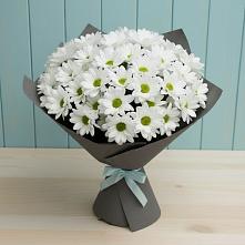 Букет цветов из:  Хризантемы в Шатурторф