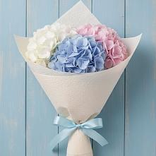 Букет цветов из:  Гортензия в Шатурторф