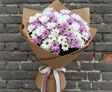 Букет цветов из:  Хризантемы в Шатурторф