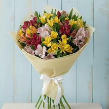 Букет цветов из:  Альстромерии #REPLACE_PRED# Шатурторф