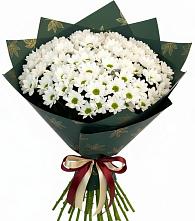 Букет цветов из:  Хризантемы #REPLACE_PRED# Шатурторф