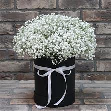 Цветочная композиция из Гипсофила в шляпной коробке в Шатурторф