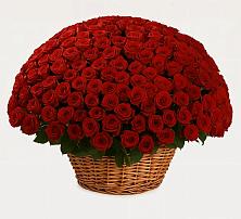 Премиум букет из: Розы в Шатурторф