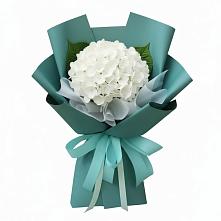Букет цветов из:  Гортензия в Шатурторф